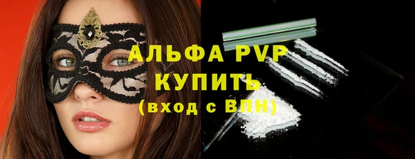 ECSTASY Белокуриха